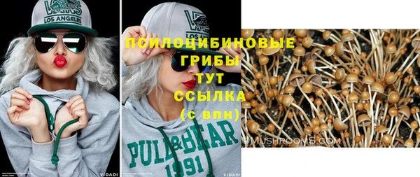 спайс Алексеевка