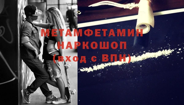 шишки Новозыбков